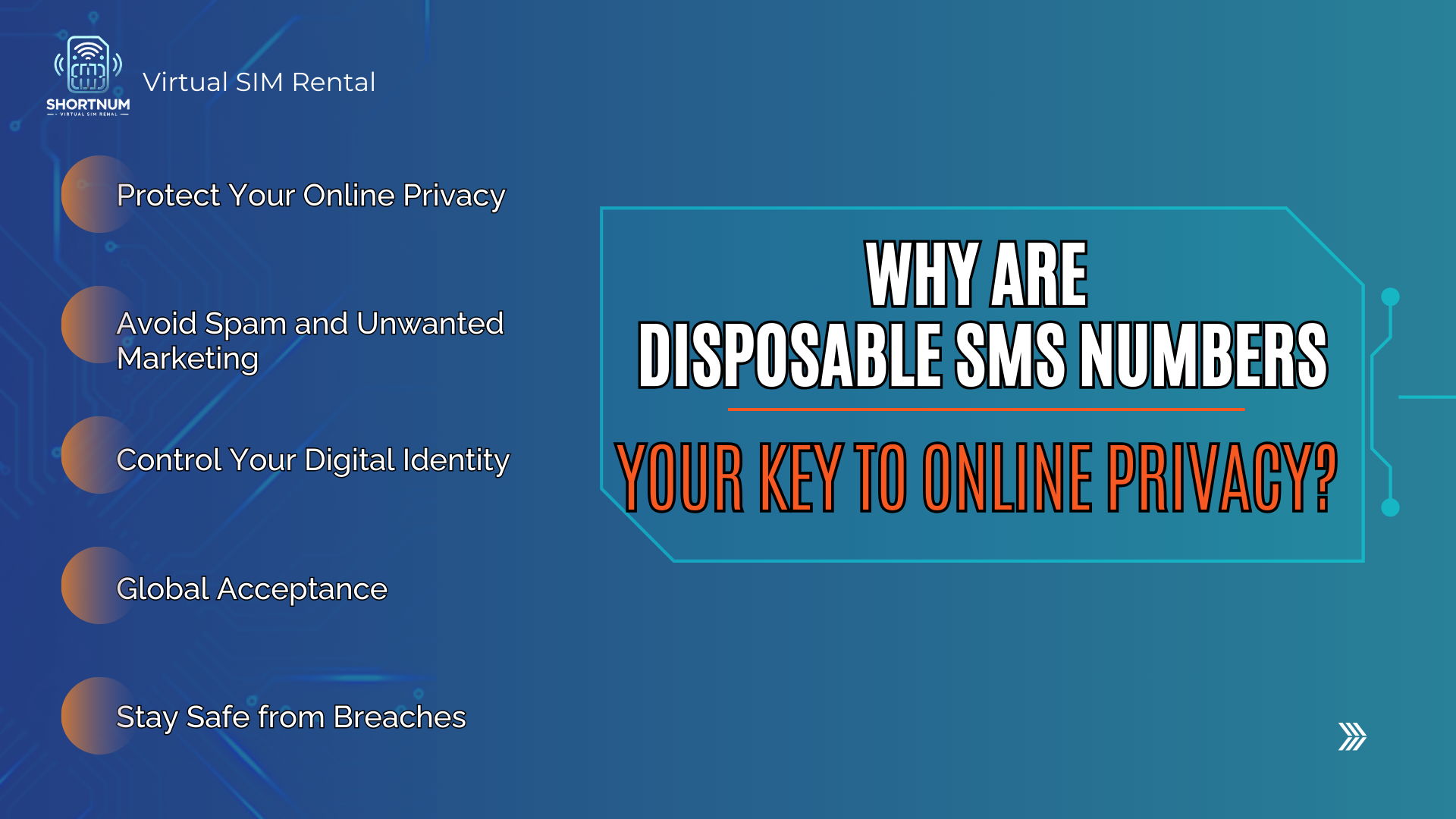 why-are-disposable-sms-numbers-your-key-to-privacy