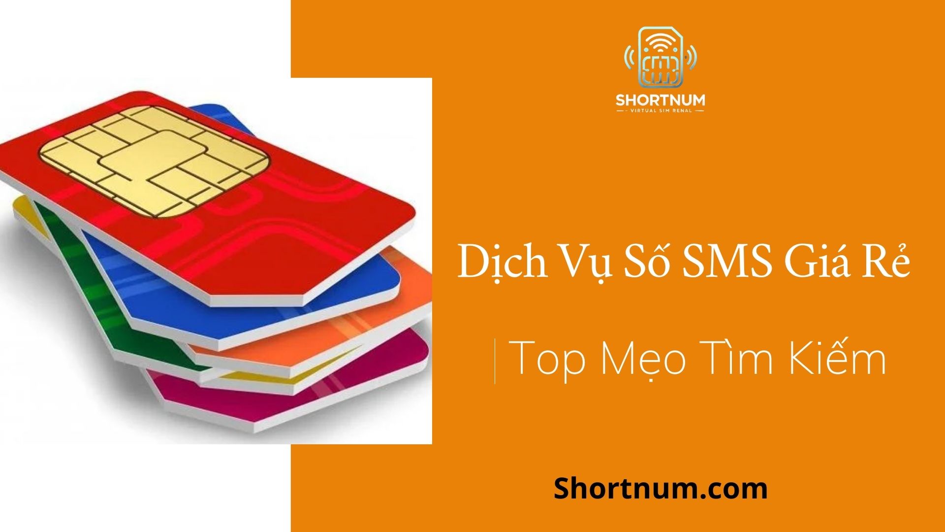 blog-image
