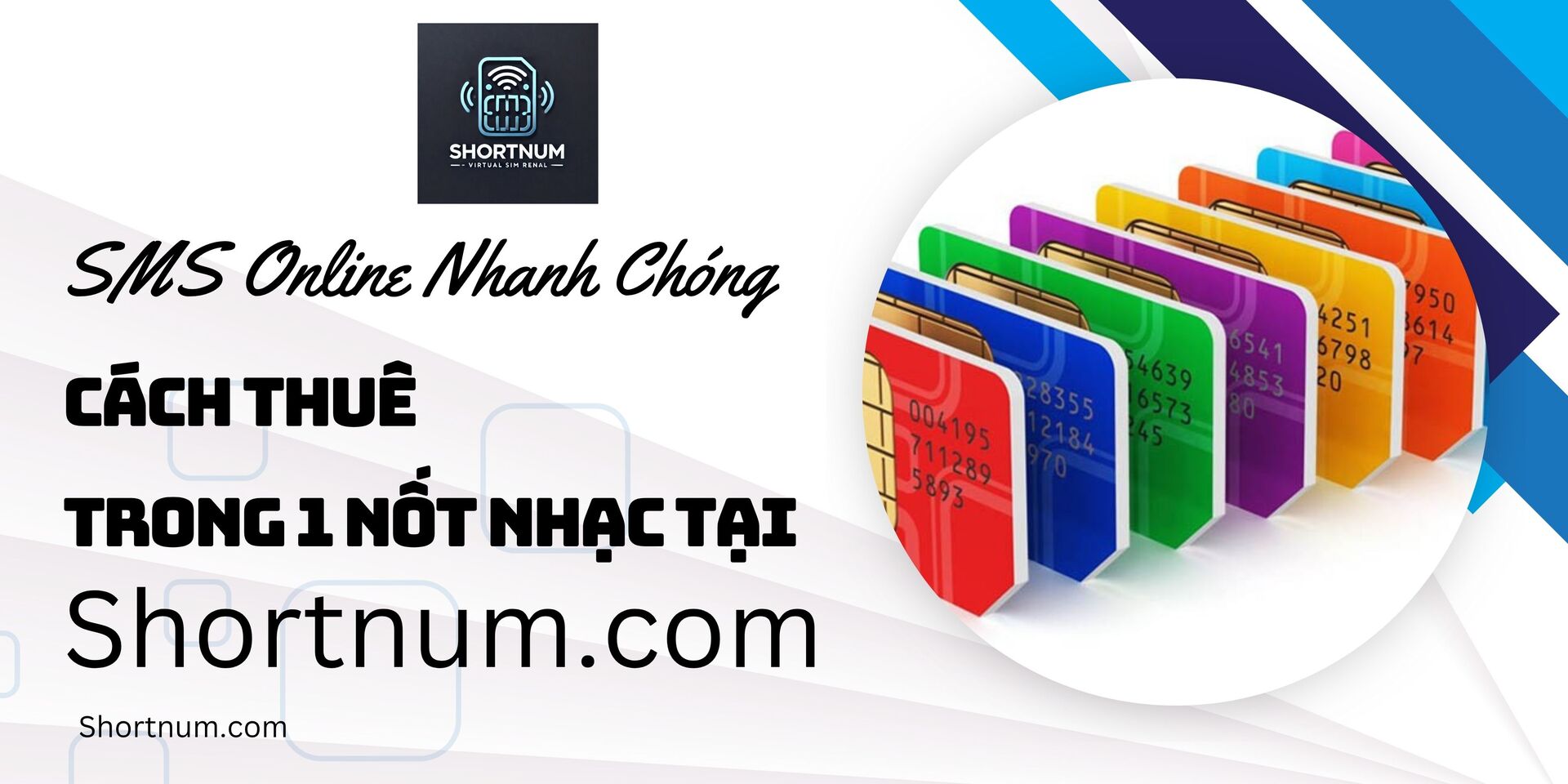 blog-image
